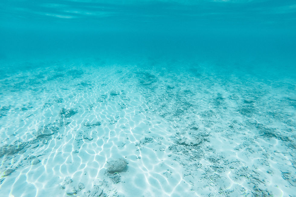Bajo del agua